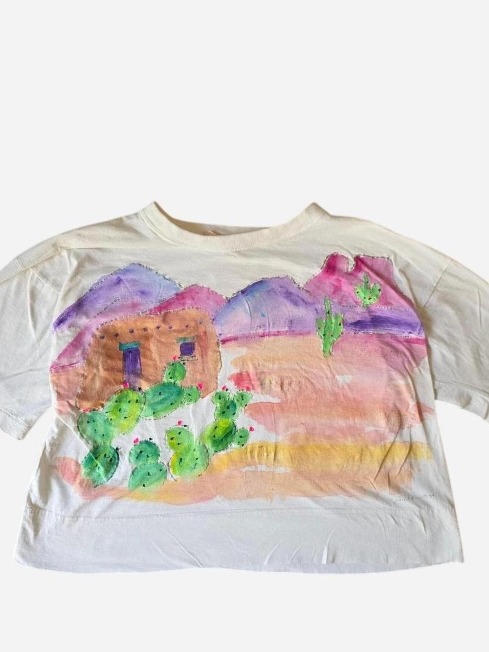 Vintage Handpainted by Paula Crop Tee Wearable Art Statement Piece Top